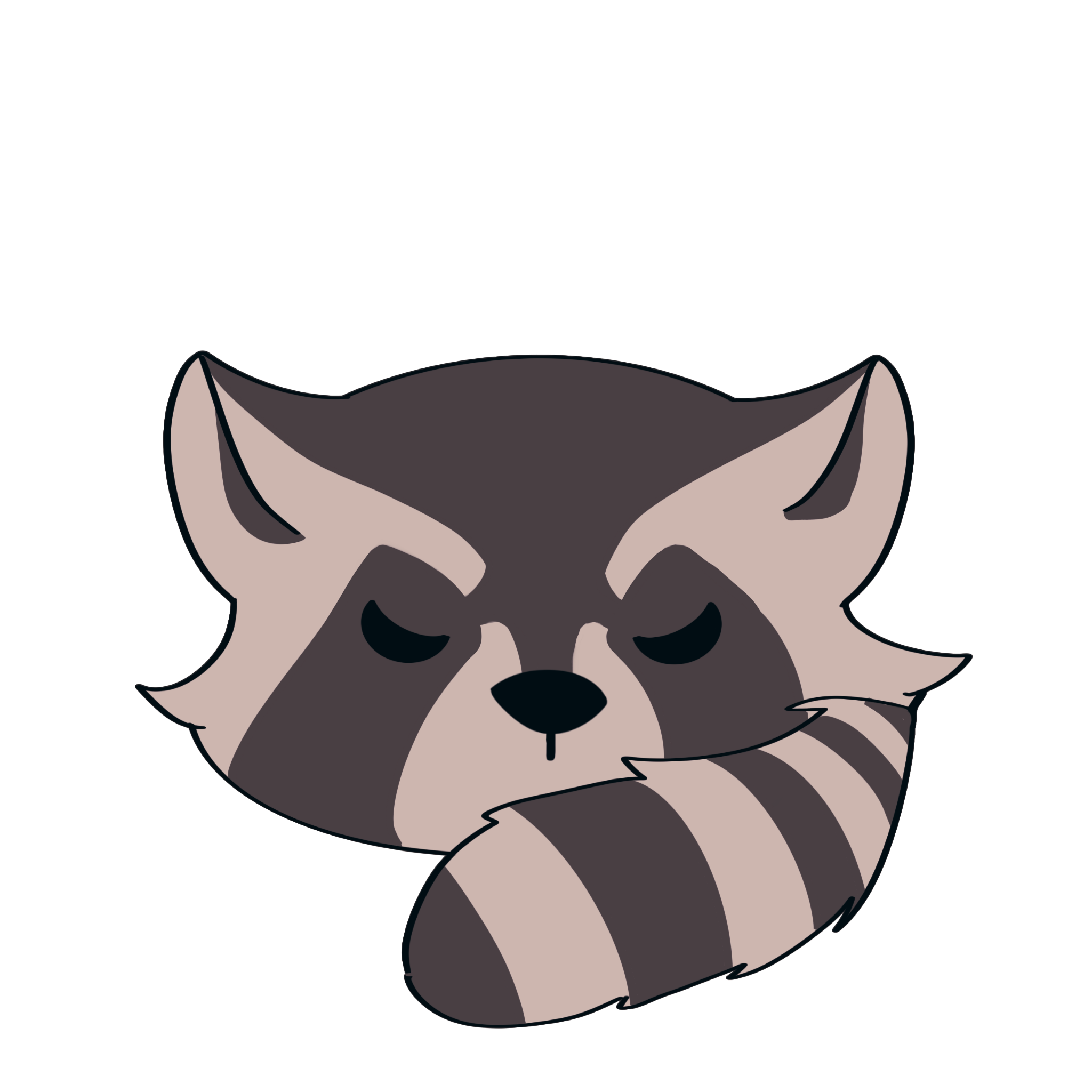 raccoon's avatar